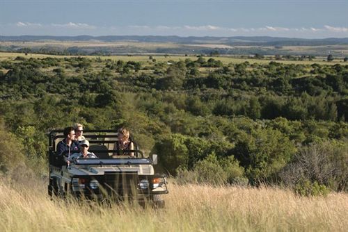 בית מלון כפרי Kichaka Lodge