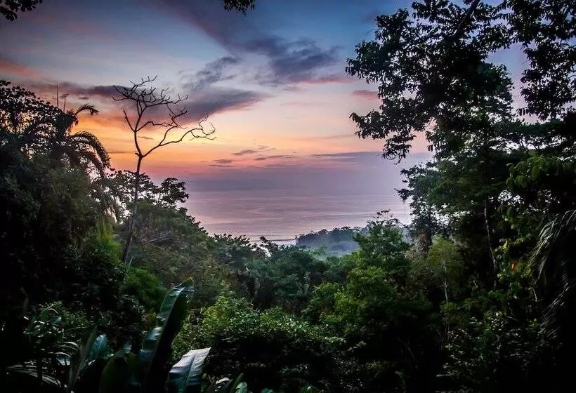 Hotel Lapa Rios Lodge By Böëna