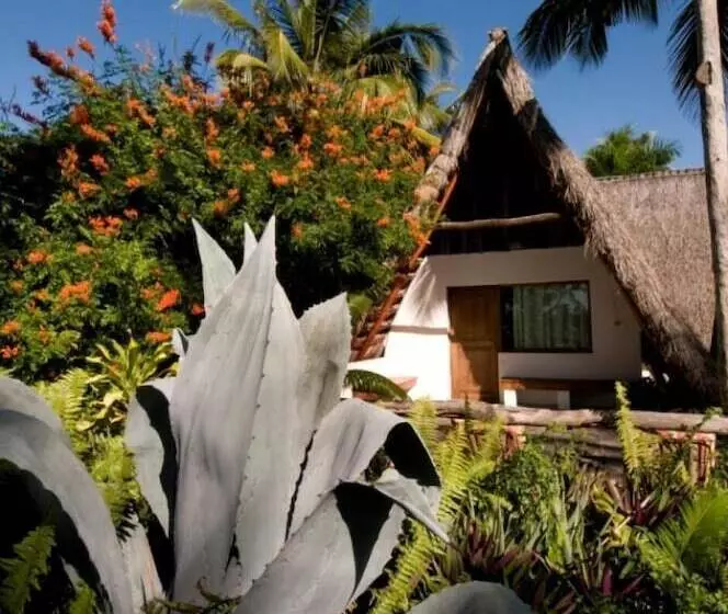 هتل Palmeiras Lodge