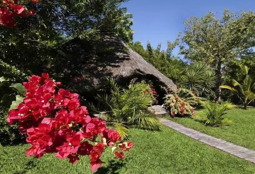 هتل Palmeiras Lodge