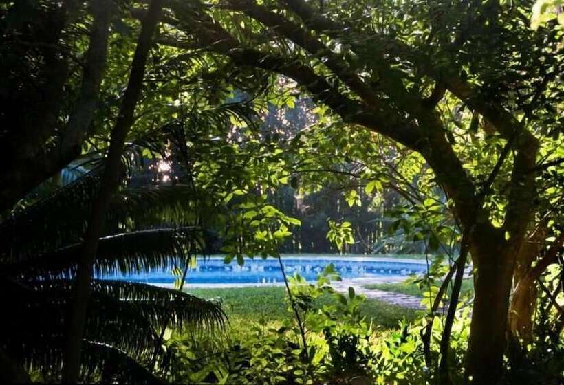 בית מלון כפרי Palmeiras Lodge