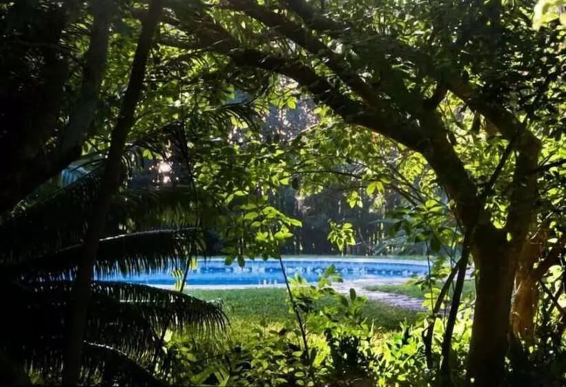 هتل Palmeiras Lodge