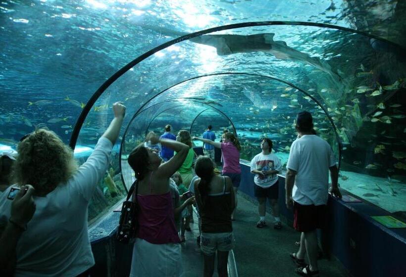 호텔 Oceanfront Litchfield Inn