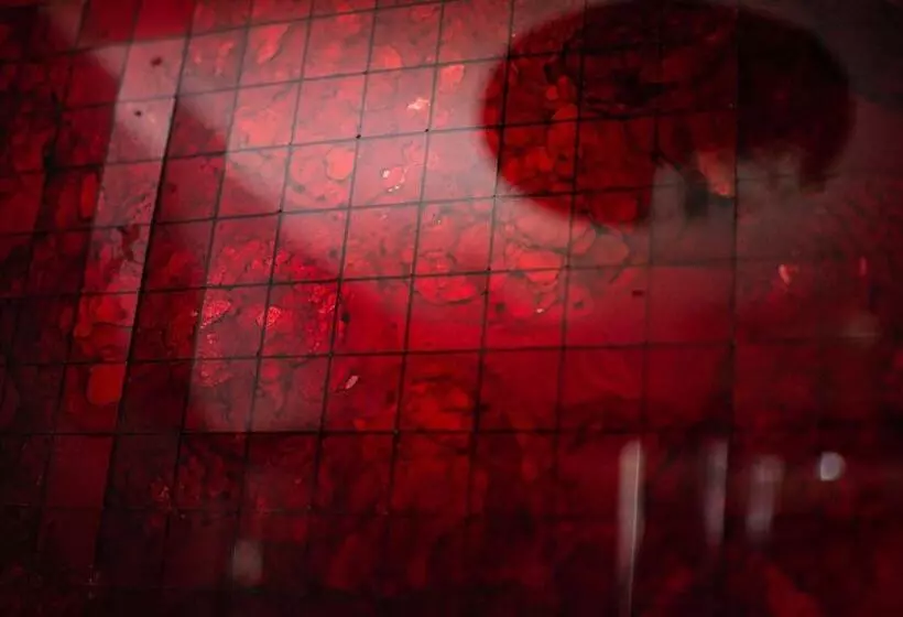 Aamiaismajoitus (B&B) Parioli House