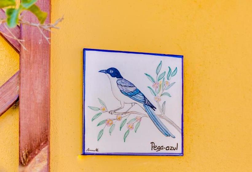 Quinta Almargem Lusitano Farm House