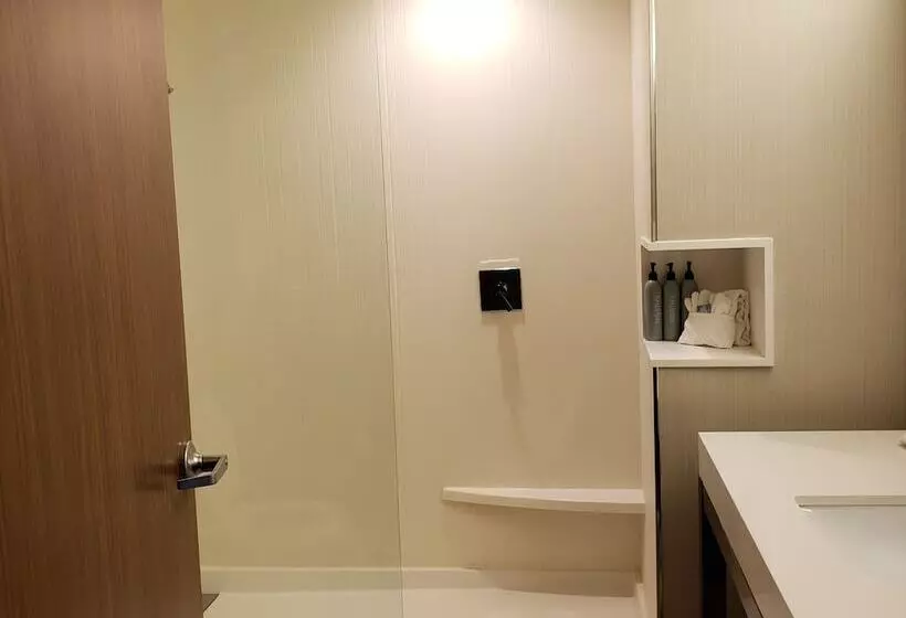 호텔 Courtyard By Marriott Battle Creek