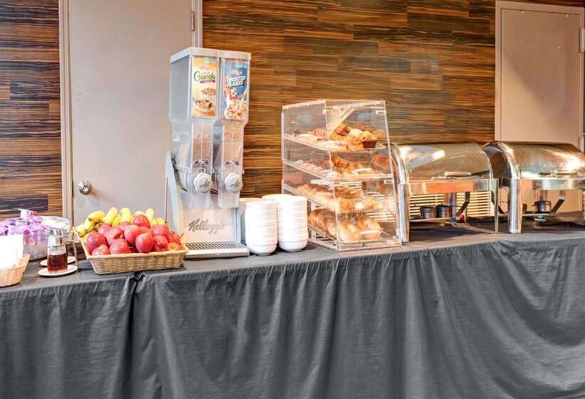 酒店 Wyndham Garden Long Island City