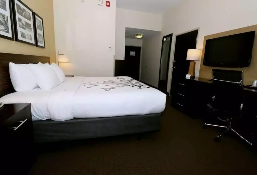 Sleep Inn & Suites Moundsville Wheeling
