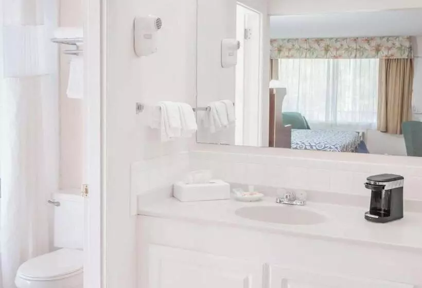 Days Inn By Wyndham Fort Myers Springs Resort