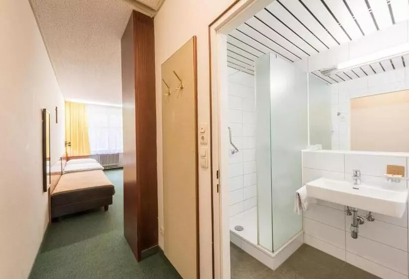 مسافرخانه Benediktushaus Im Schottenstift