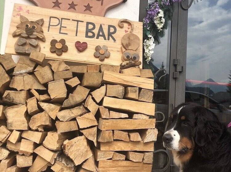 Alpine Touring Hotel Petfriendly