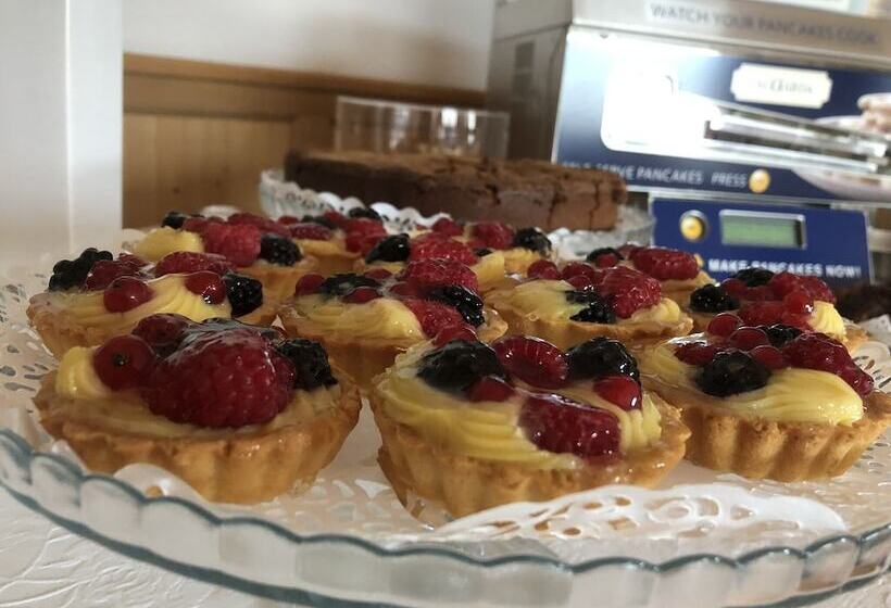 Alpine Touring Hotel Petfriendly