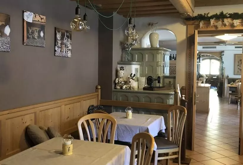 Alpine Touring Hotel Petfriendly