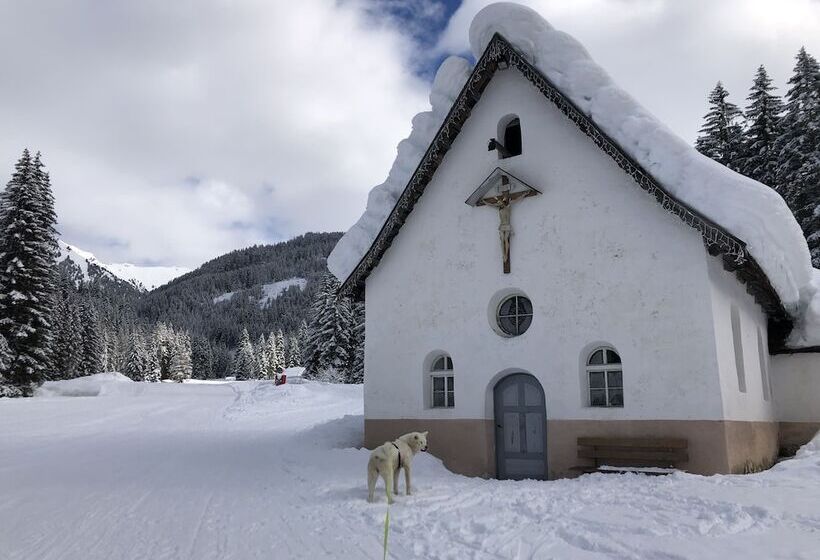 Alpine Touring Hotel Petfriendly