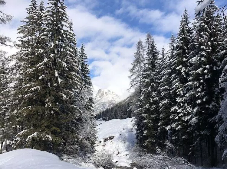 Alpine Touring Hotel Petfriendly