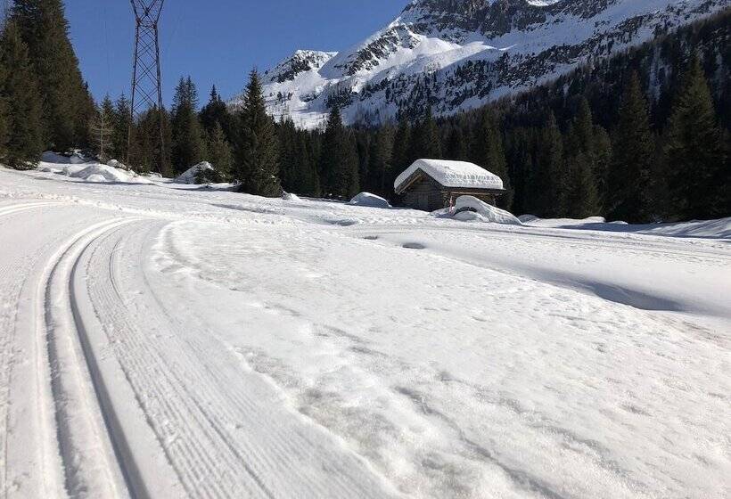 Alpine Touring Hotel Petfriendly