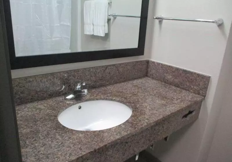 هتل Best Western Nsu Inn