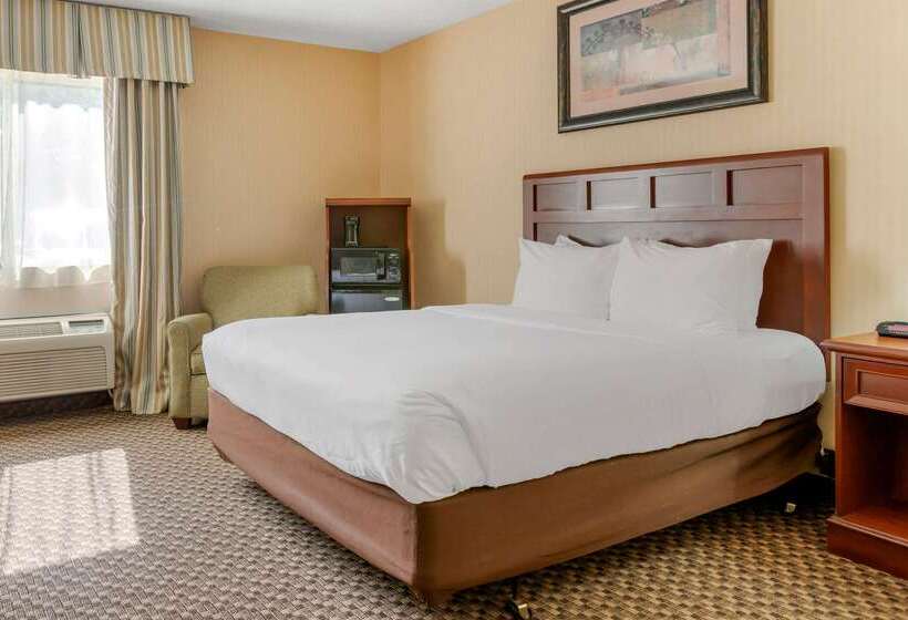 فندق Comfort Inn Traverse City