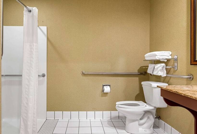 فندق Comfort Inn Traverse City