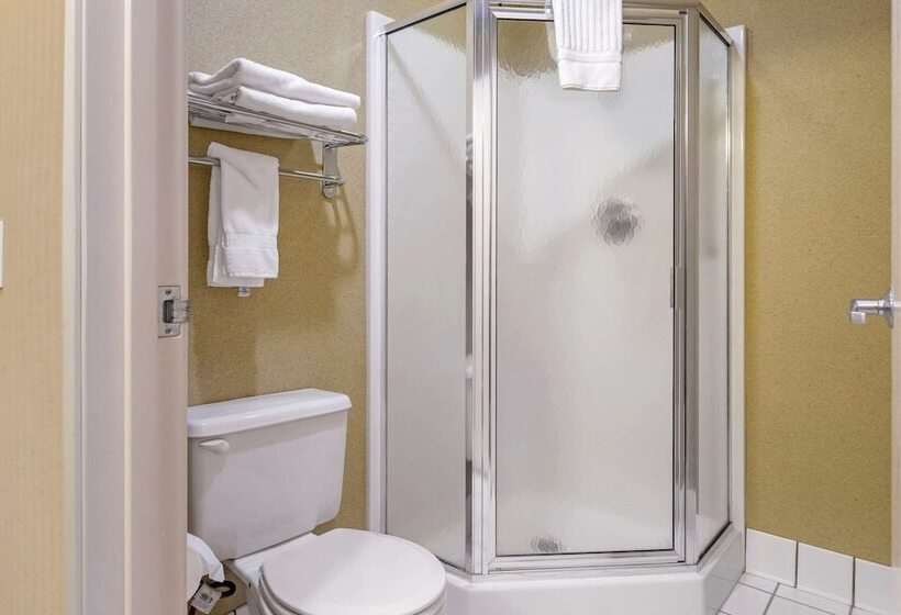 فندق Comfort Inn Traverse City