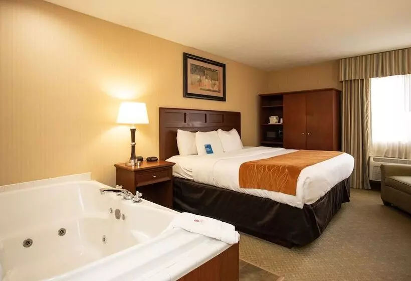 Hotel Comfort Inn Traverse City