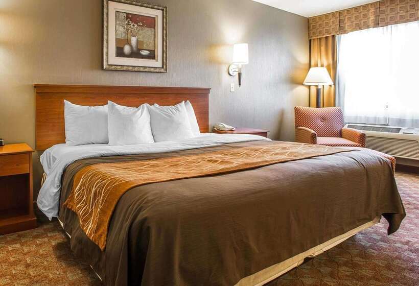 בית מלון כפרי Comfort Inn