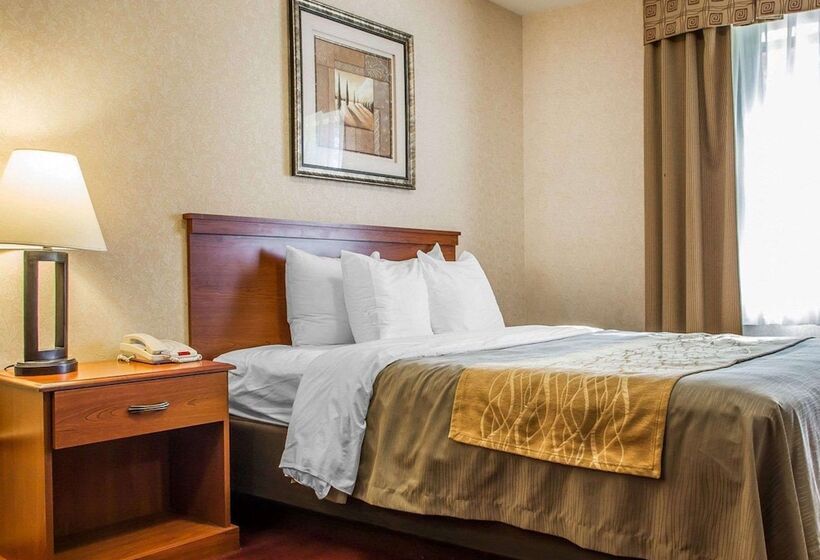 בית מלון כפרי Comfort Inn