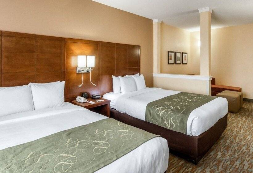 ホテル Comfort Suites Cotulla Near I35