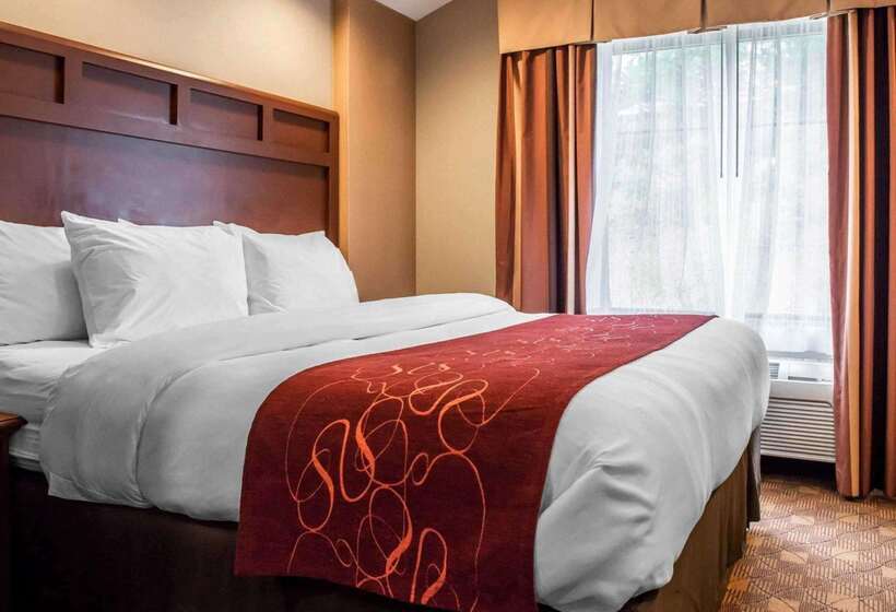 Отель Comfort Suites