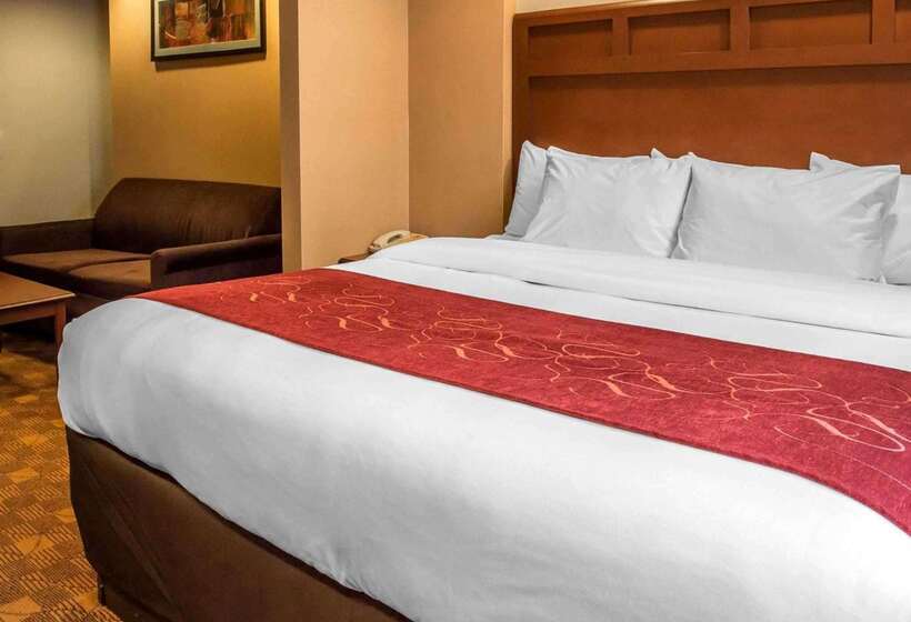 Отель Comfort Suites