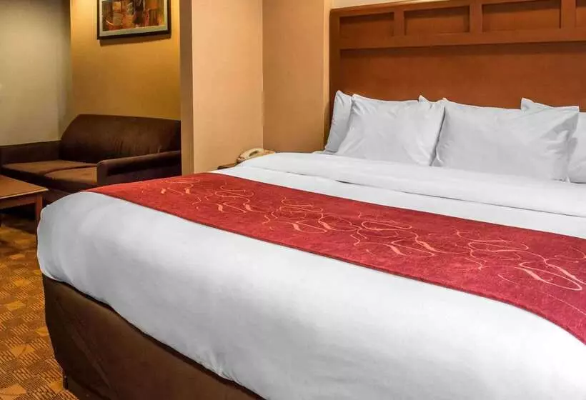 호텔 Comfort Suites