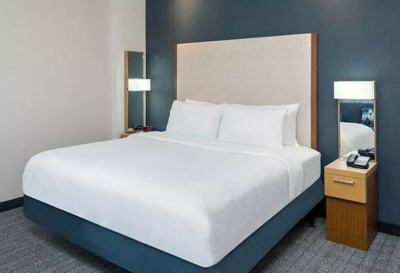 فندق Courtyard By Marriott Buffalo Downtown/canalside