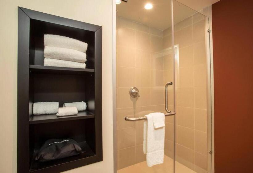 فندق Courtyard Toluca Tollocan