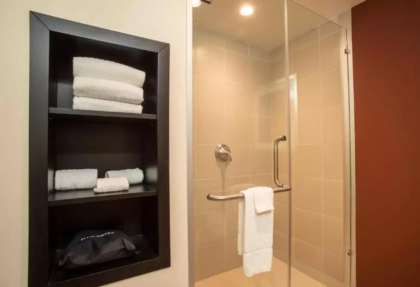 Отель Courtyard Toluca Tollocan