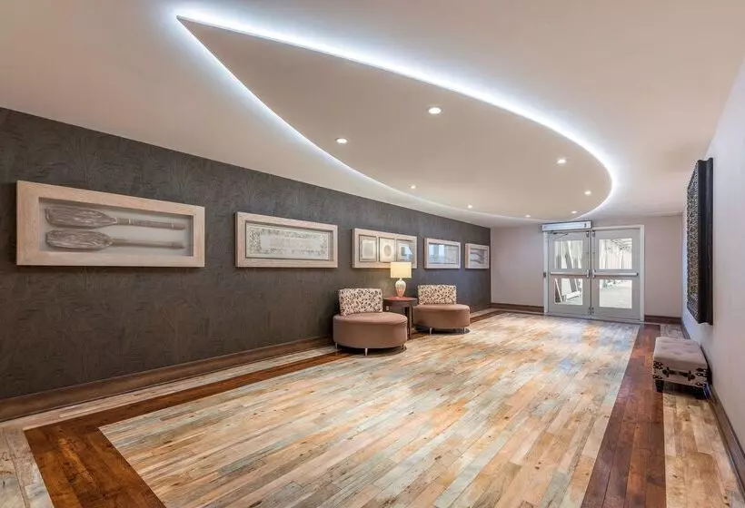 ホテル Hampton Inn By Hilton Sydney