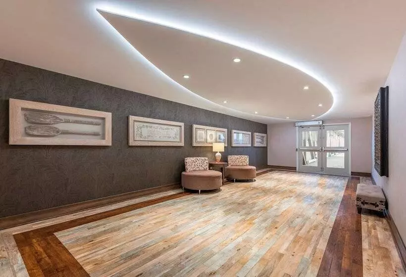 ホテル Hampton Inn By Hilton Sydney