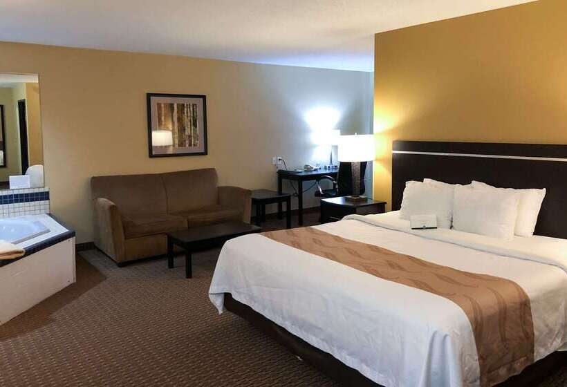 Отель Quality Inn & Suites Sun Prairie Madison East
