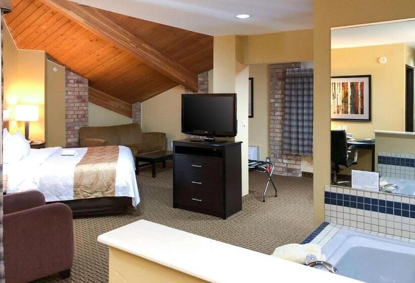 Отель Quality Inn & Suites Sun Prairie Madison East