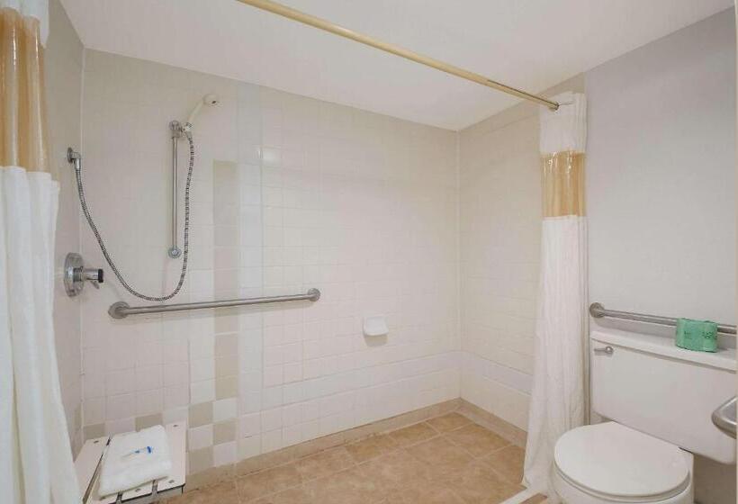 Отель Rodeway Inn