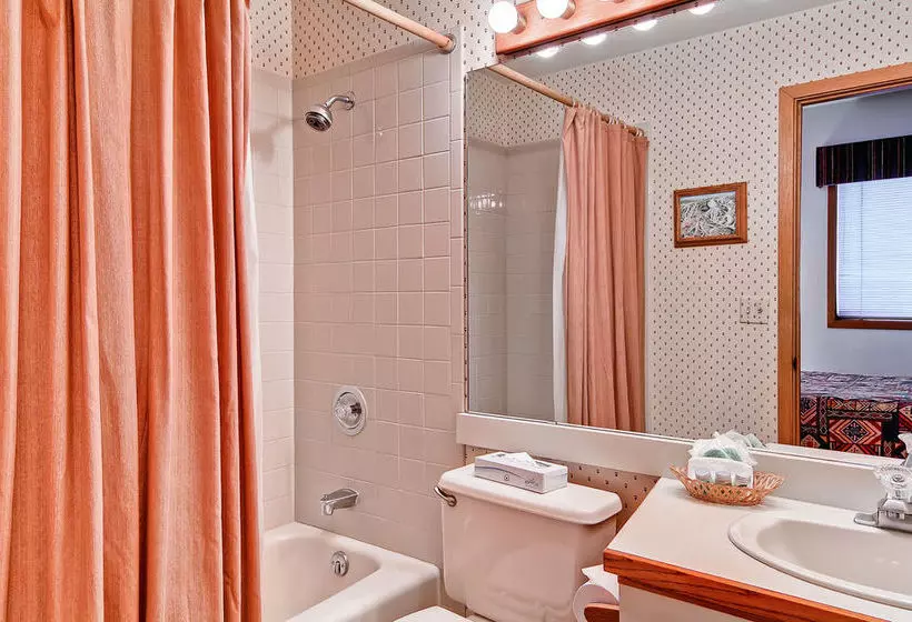 هتل Snow Flower Condos By Steamboat Resorts