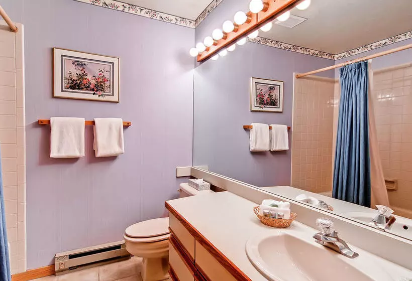 هتل Snow Flower Condos By Steamboat Resorts