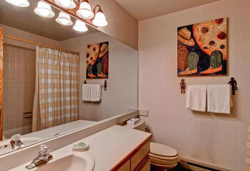 هتل Snow Flower Condos By Steamboat Resorts