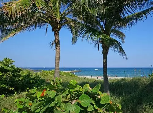 酒店 Ventura At Boca Raton