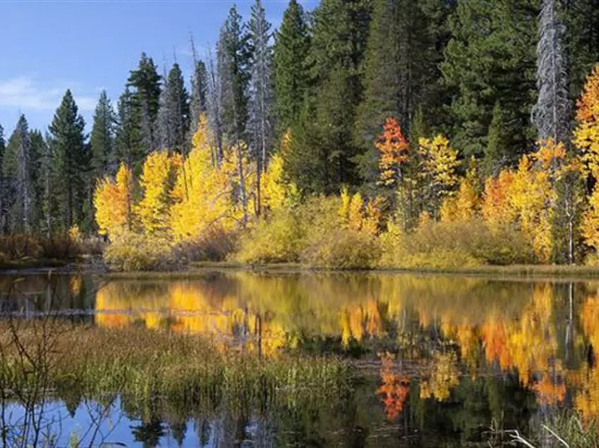 Snowbird Condos at Mammoths Canyon Lodge