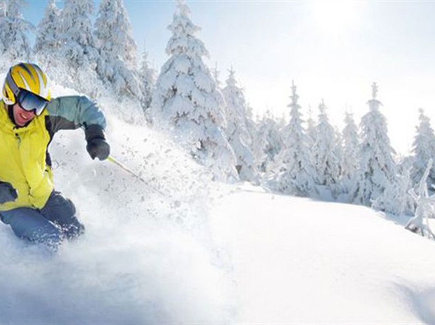 Snowbird Condos at Mammoths Canyon Lodge