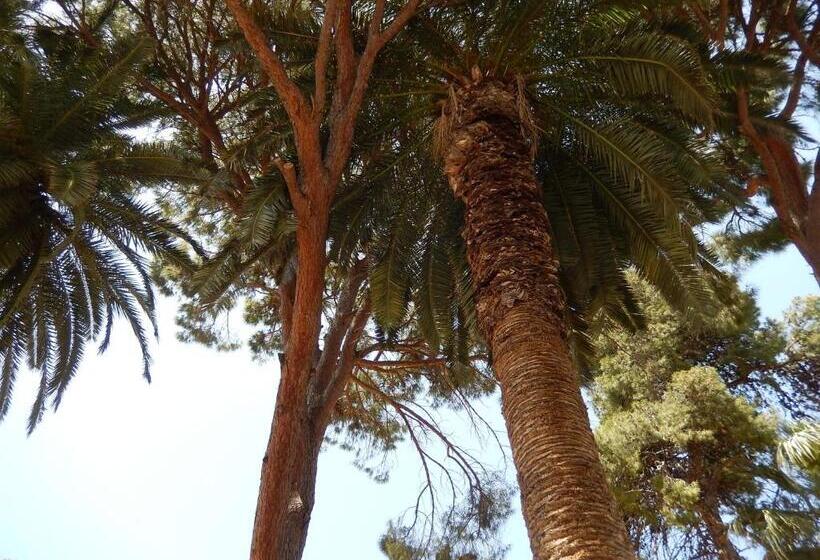 فندق Aloe Apartments