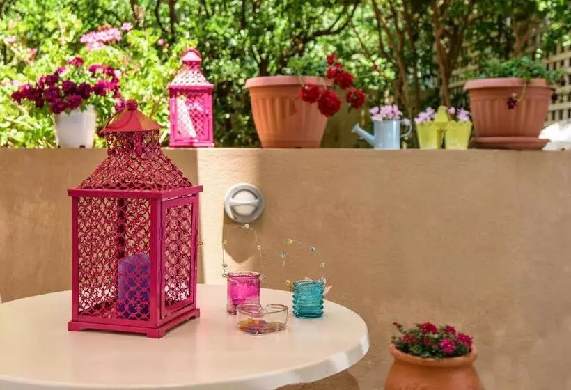 酒店 Aloe Apartments