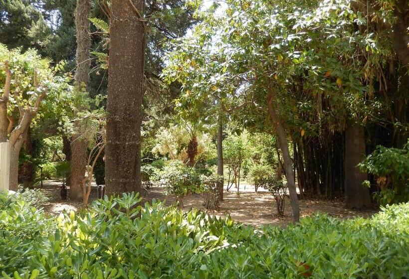 فندق Aloe Apartments