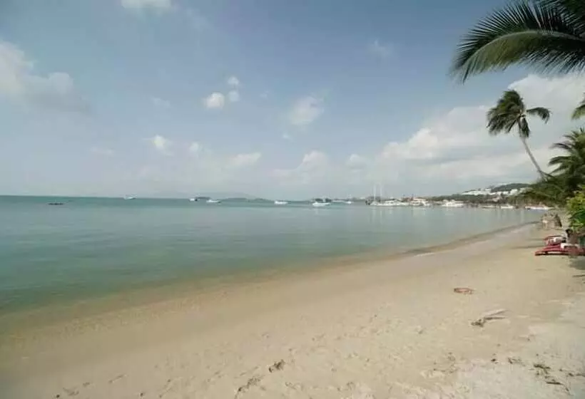 ホテル Bangrak Samui Beach Resort