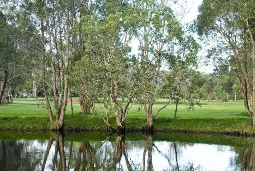 ホテル Discovery Parks  Byron Bay